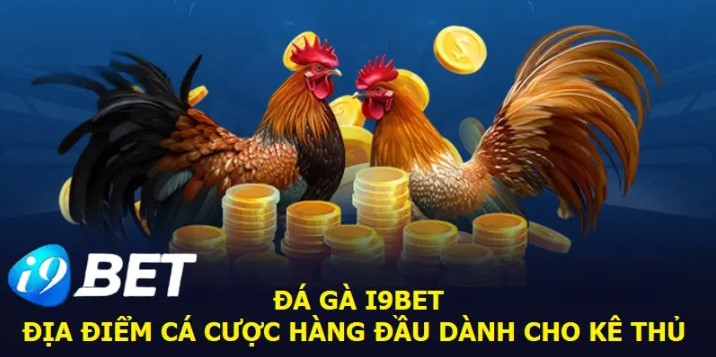 Cùng tìm hiểu về sảnh chơi Đá Gà I9bet