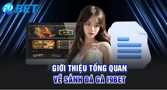 Hướng dẫn cách bắt đầu chơi đá gà cho kê thủ mầm non