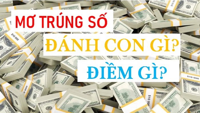 Vé số độc đắc bị rách không những gây tiếc nuối trong mơ mà còn cả đời thực